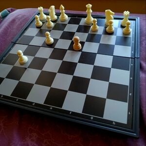 quad pro magnetic chess set